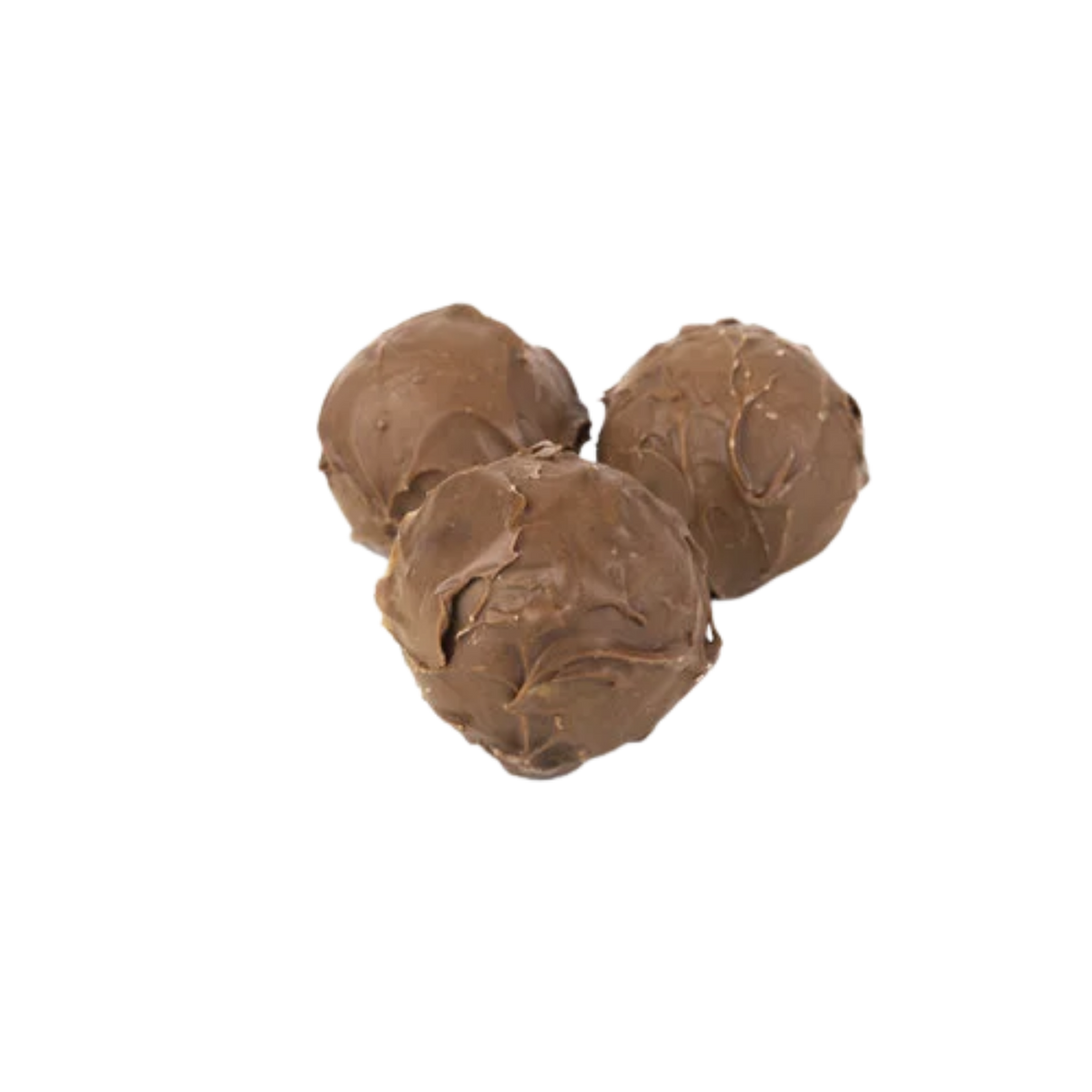 Chocoladebom hazelnoot