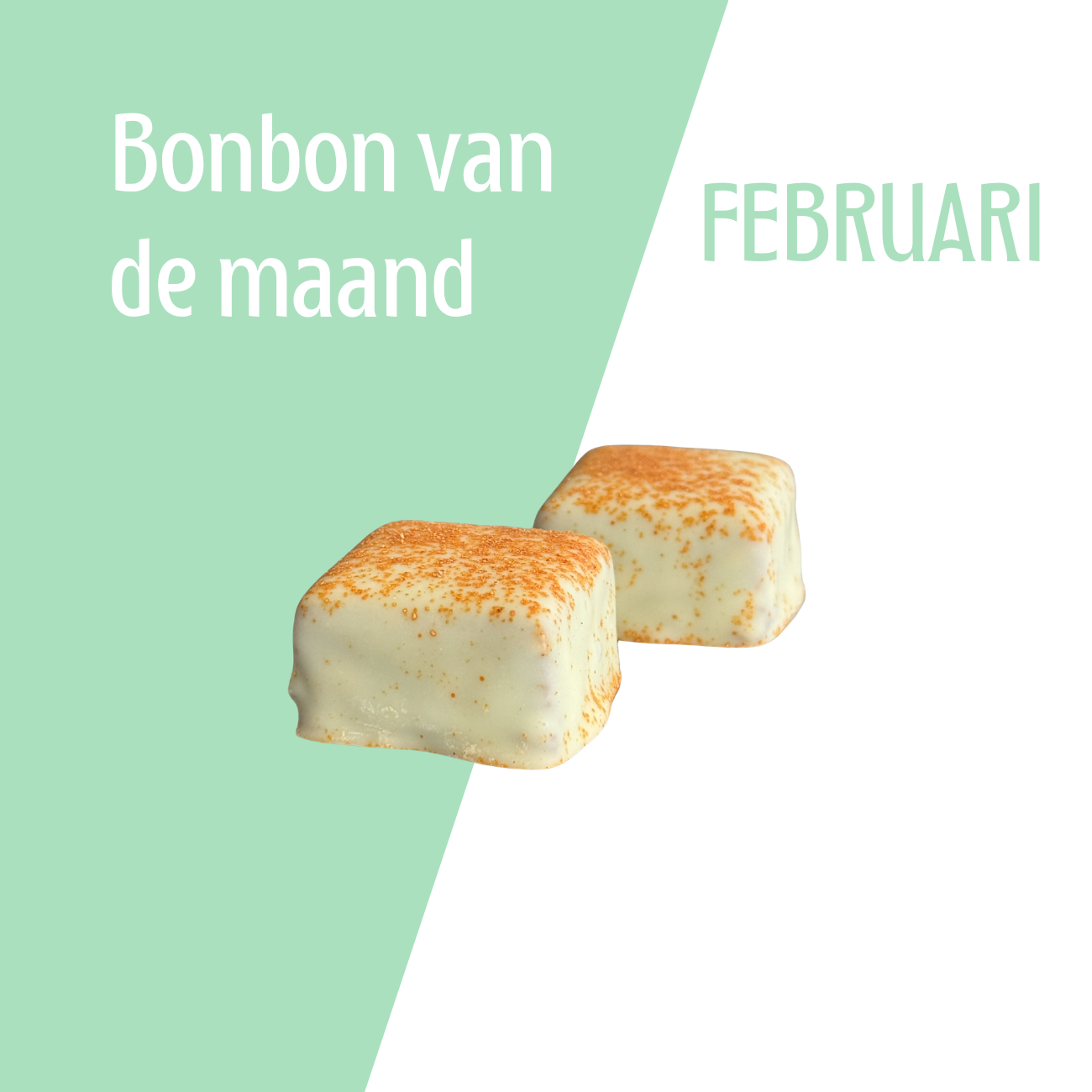 Visser Chocolade - Bonbon van de maand februari