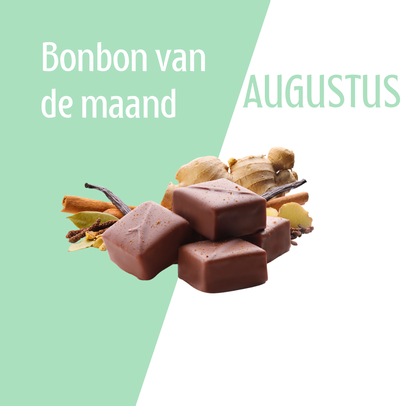 Visser Chocolade - Bonbon van de maand augustus