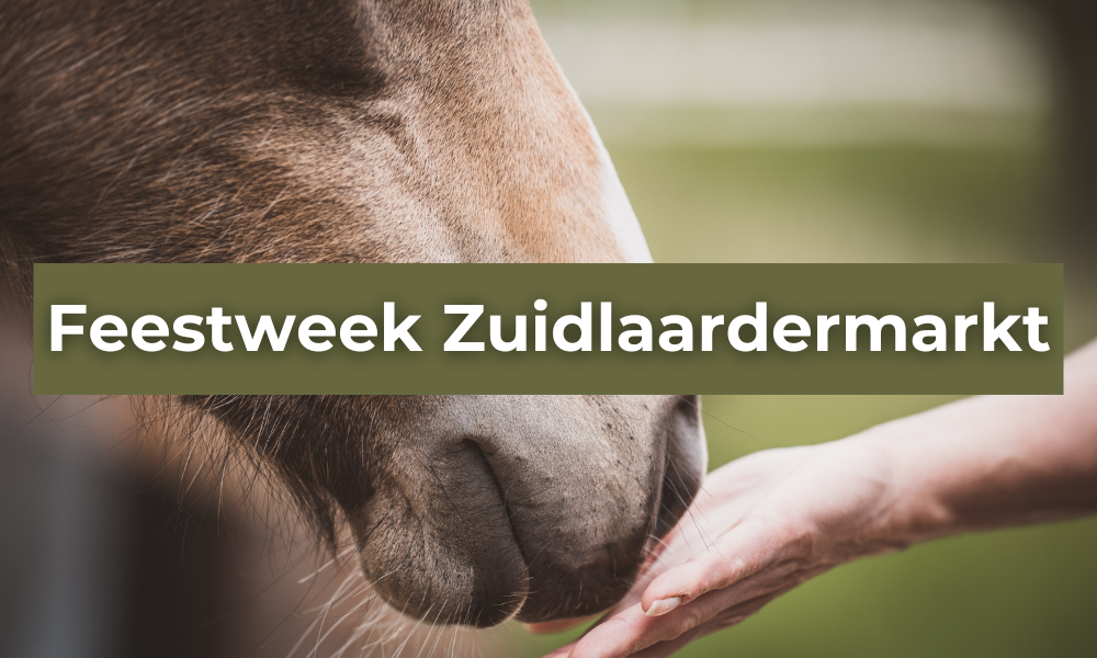 Koffieplein Zuidlaren – dé plek voor koffie en gezelligheid tijdens de Zuidlaardermarkt!