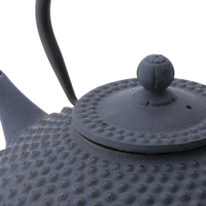 Bredemeijer - Theepot Xilin 1,25L Gietijzer 'Blauw'