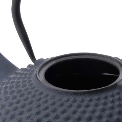 Bredemeijer - Theepot Xilin 1,25L Gietijzer 'Blauw'