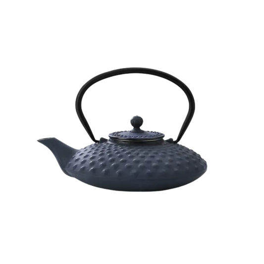 Bredemeijer - Theepot Xilin 0,8L Gietijzer 'Blauw'
