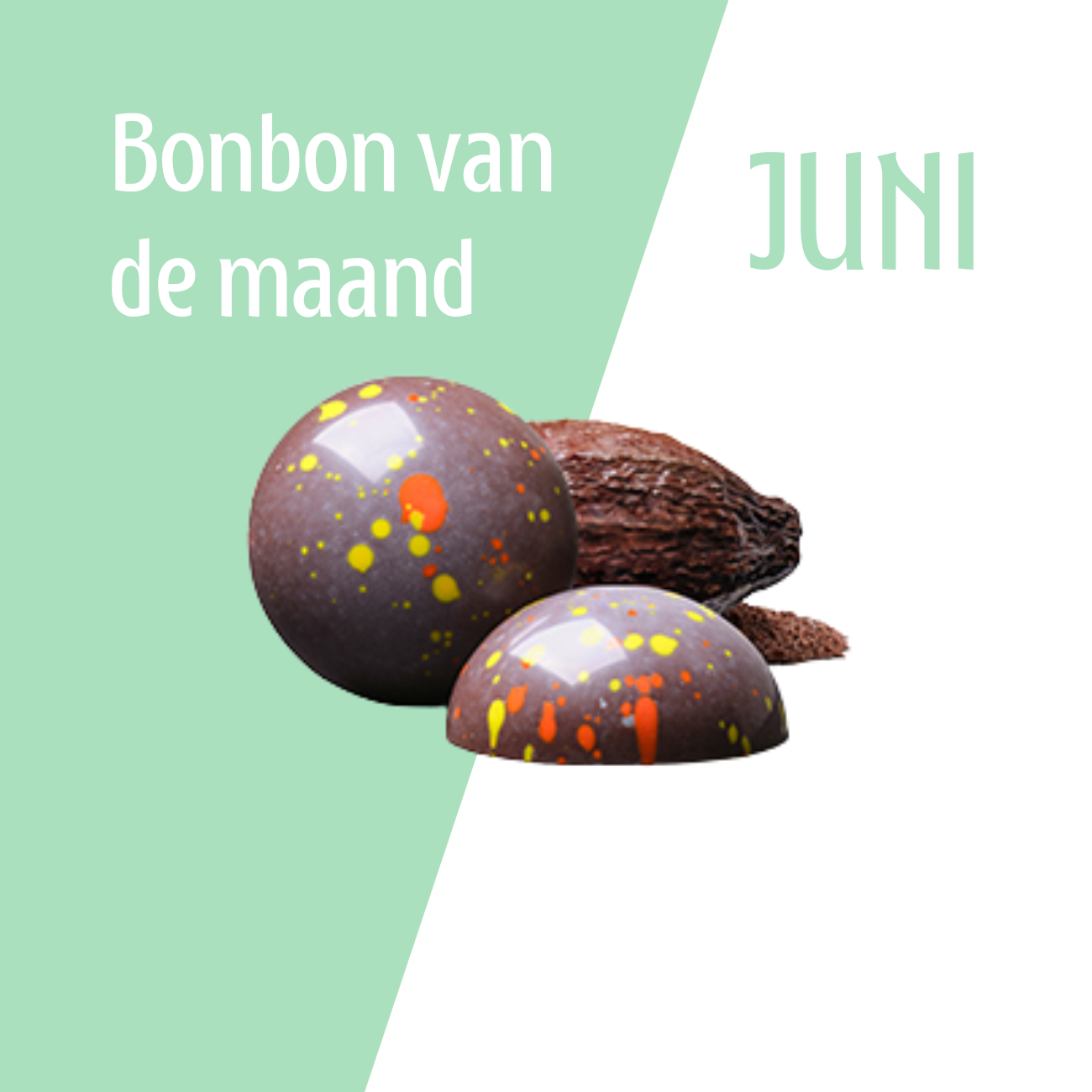 Visser Chocolade - Bonbon van de maand juni