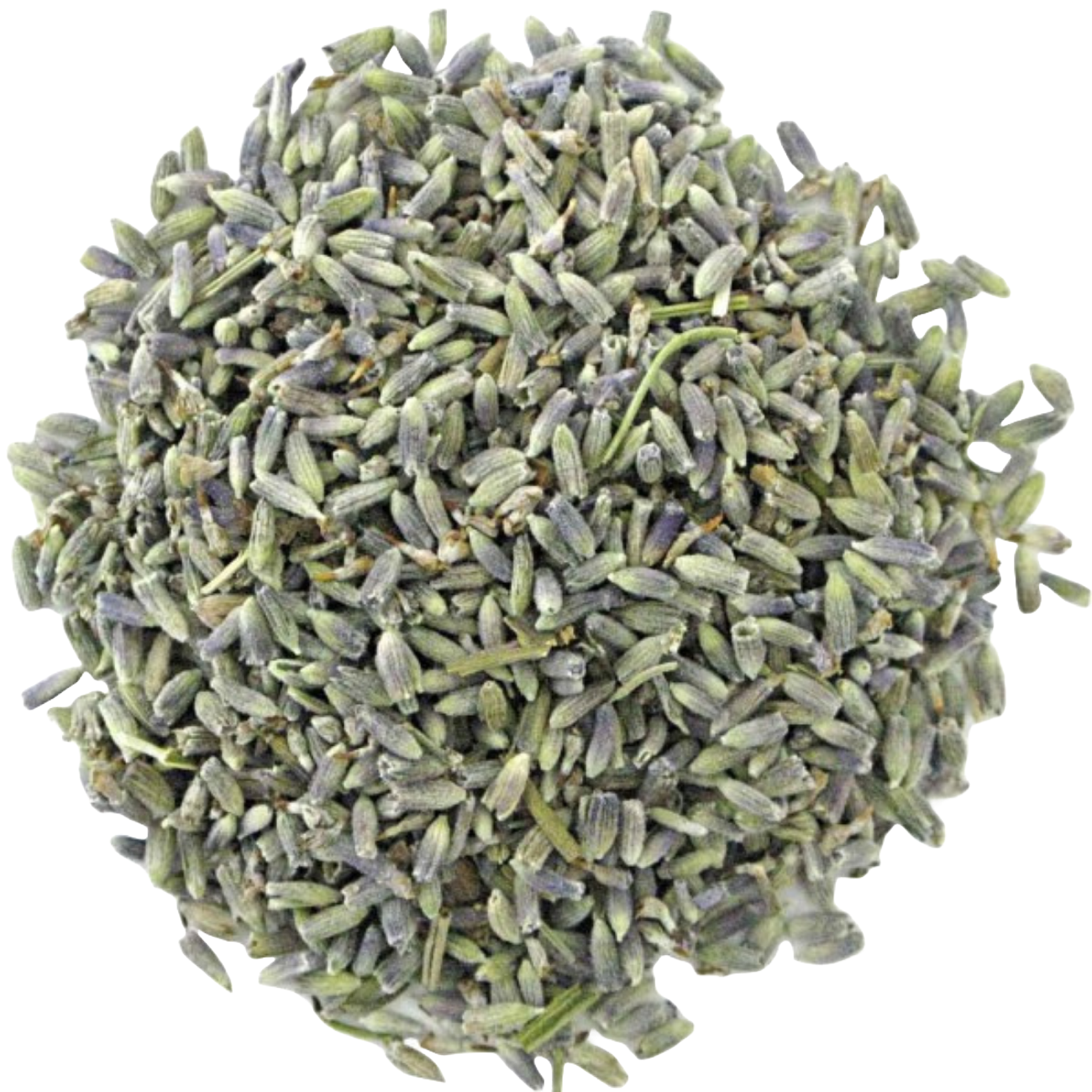 Lavendel