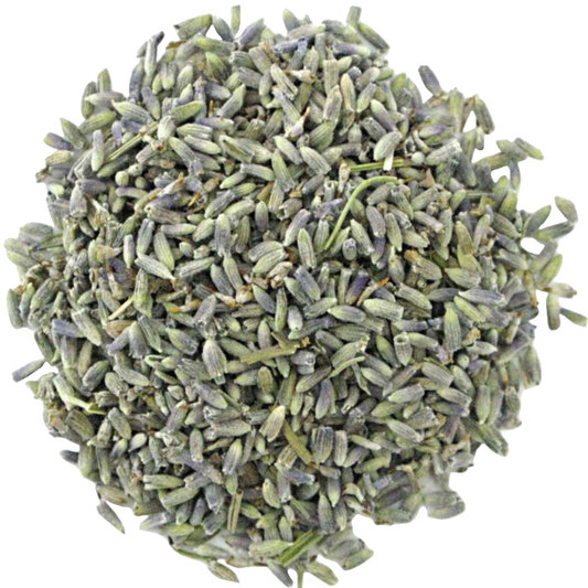 Lavendel