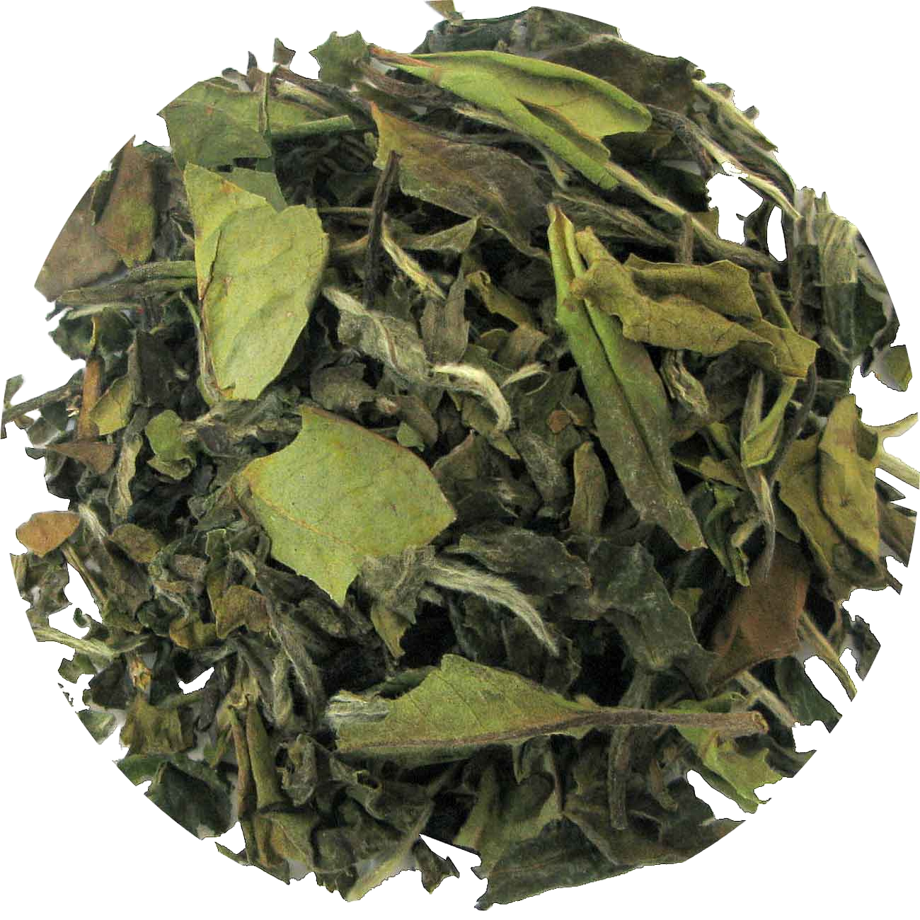 Pai Mu Tan