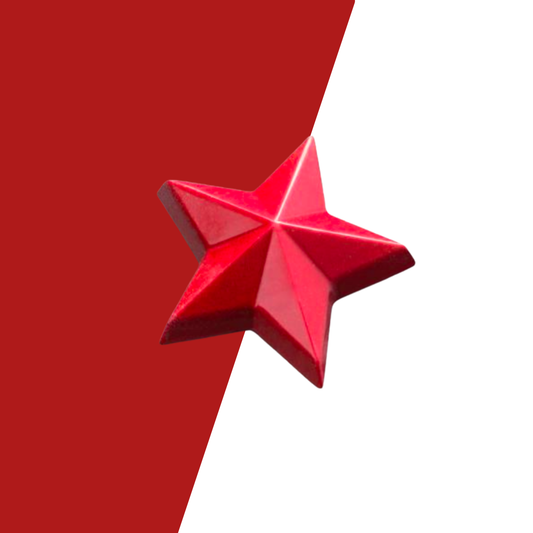 Visser Chocolade - Kerstster Tiramisu