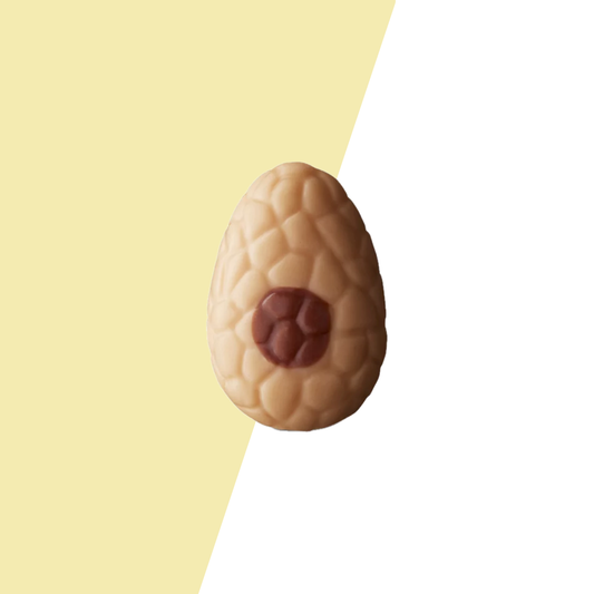 Visser Pasen - Paasei Crème Karamel