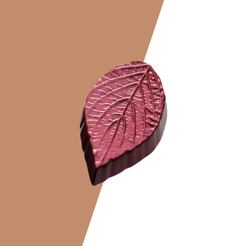 Visser Herfst - Herfstblad puur rood
