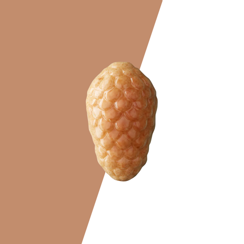 Visser Herfst - Dennenappel wit amandel