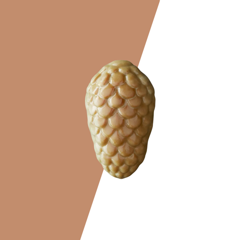 Visser Herfst - Dennenappel gianduja pistache