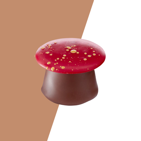 Visser Herfst - Paddestoel marsepein melk