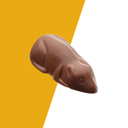 Visser Sinterklaas - Praline muis melk